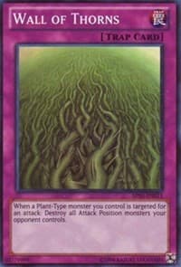 Wall of Thorns - Astral Pack 3 - YuGiOh card