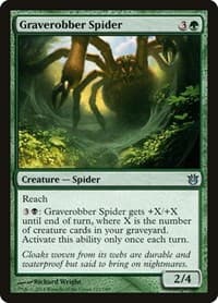 Graverobber Spider - Born of the Gods - Magic: The Gathering card