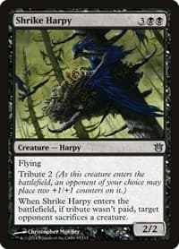Shrike Harpy - Born of the Gods - Magic: The Gathering card