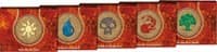 Born of the Gods - Prerelease Kit (Set of 5) - Born of the Gods - Magic: The Gathering card