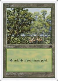 Forest (Arena) - Anthologies - Magic: The Gathering card