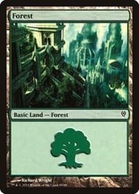 Forest (88) - Duel Decks: Jace vs. Vraska - Magic: The Gathering card