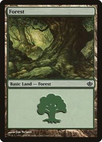 Forest (31) - Duel Decks: Garruk vs. Liliana - Magic: The Gathering card