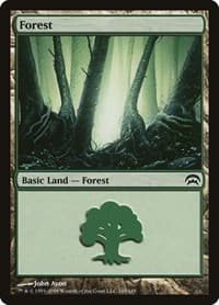 Forest (165) - Planechase - Magic: The Gathering card