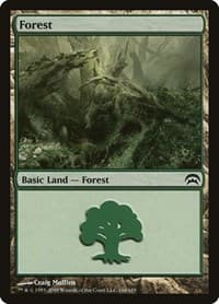 Forest (166) - Planechase - Magic: The Gathering card