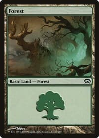 Forest (167) - Planechase - Magic: The Gathering card