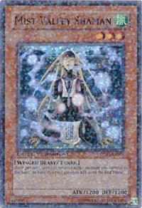 Mist Valley Shaman - Duel Terminal 1 - YuGiOh card