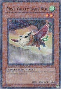 Mist Valley Baby Roc - Duel Terminal 2 - YuGiOh card