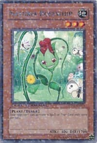 Naturia Rosewhip - Duel Terminal 2 - YuGiOh card