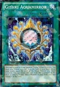 Gishki Aquamirror - Duel Terminal 5 - YuGiOh card