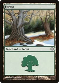 Forest (381) - Coldsnap Theme Deck Reprints - Magic: The Gathering card