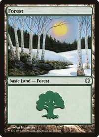 Forest (382) - Coldsnap Theme Deck Reprints - Magic: The Gathering card