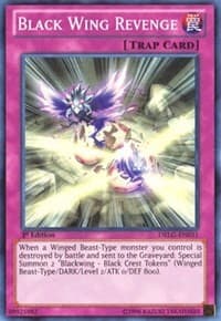 Black Wing Revenge - Dragons of Legend - YuGiOh card