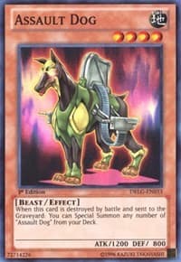 Assault Dog - Dragons of Legend - YuGiOh card