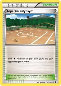 Aspertia City Gym - Boundaries Crossed - Pokemon card