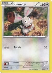 Bunnelby - Kalos Starter Set - Pokemon card