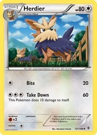 Herdier - Boundaries Crossed - Pokemon card