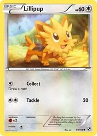 Lillipup (81) - Black and White - Pokemon card