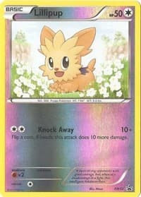 Lillipup - BW52 - Black and White Promos - Pokemon card