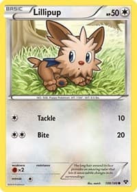 Lillipup - XY Base Set - Pokemon card