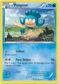 Panpour - Kalos Starter Set - Pokemon card