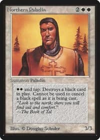 Northern Paladin - Beta Edition - Magic: The Gathering card