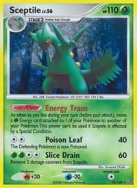 Sceptile - Stormfront - Pokemon card