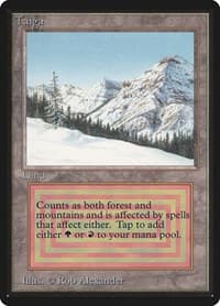 Taiga - Beta Edition - Magic: The Gathering card