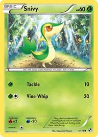 Snivy (1) - Black and White - Pokemon card