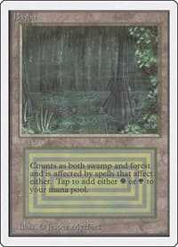 Bayou - Unlimited Edition - Magic: The Gathering card