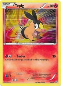 Tepig (BW02) - Black and White Promos - Pokemon card