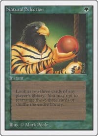Natural Selection - Unlimited Edition - Magic: The Gathering card