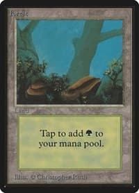 Forest (A) - Beta Edition - Magic: The Gathering card