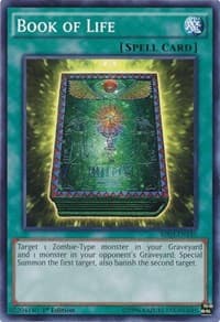 Book of Life - Battle Pack 3: Monster League - YuGiOh card