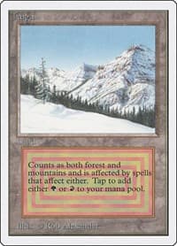 Taiga - Unlimited Edition - Magic: The Gathering card