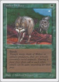 Timber Wolves - Unlimited Edition - Magic: The Gathering card