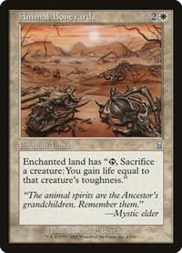 Animal Boneyard - Odyssey - Magic: The Gathering card