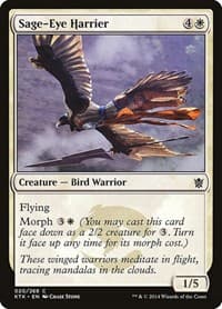 Sage-Eye Harrier - Khans of Tarkir - Magic: The Gathering card
