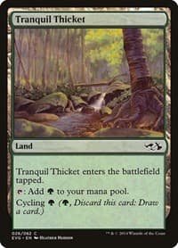Tranquil Thicket - Duel Decks: Anthology - Magic: The Gathering card