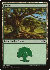 Forest (031) (EVG) - Duel Decks: Anthology - Magic: The Gathering card