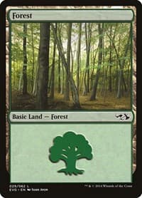 Forest (029) (EVG) - Duel Decks: Anthology - Magic: The Gathering card