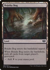 Bojuka Bog - Commander 2014 - Magic: The Gathering card