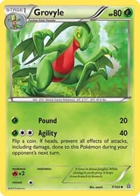 Grovyle - XY - Primal Clash - Pokemon card
