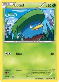 Lotad - XY - Primal Clash - Pokemon card
