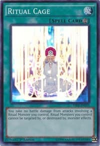 Ritual Cage - The Secret Forces - YuGiOh card