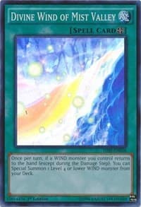 Divine Wind of Mist Valley - The Secret Forces - YuGiOh card