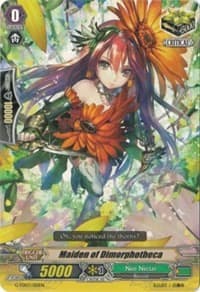 Maiden of Dimorphotheca - G-TD03: Flower Maiden of Purity - Cardfight Vanguard card