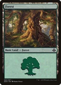 Forest (065) - Duel Decks: Elspeth vs. Kiora - Magic: The Gathering card
