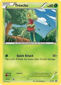 Treecko - XY36 - XY Promos - Pokemon card