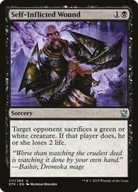 Self-Inflicted Wound - Dragons of Tarkir - Magic: The Gathering card